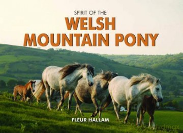 Spirit of the Welsh Mountain Pony - Fleur Hallam [KSIĄŻKA]