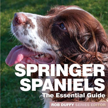 Springer Spaniels: The Essential Guide - Robert Duffy [KSIĄŻKA]