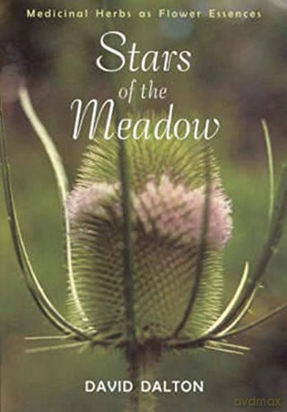 Stars of the Meadow: Medicinal Herbs as Flower Essences - David Dalton [KSIĄŻKA]