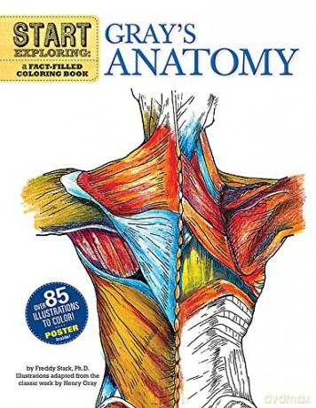 Start Exploring: Gray's Anatomy: A Fact-Filled Coloring Book (Start Exploring (Coloring Books)) - Freddy Stark [KSIĄŻKA]