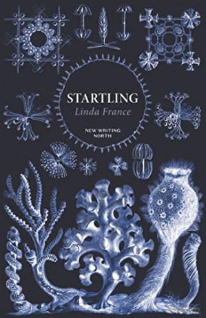 Startling - Linda France [KSIĄŻKA]