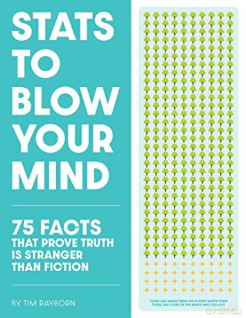 STATS to Blow Your Mind!: And Everyone Else You're Talking to - Tim Rayborn [KSIĄŻKA]
