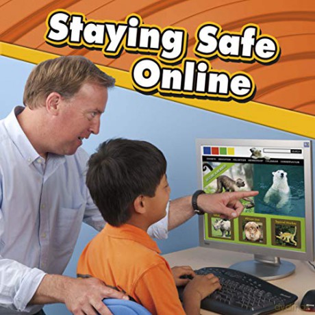 Staying Safe Online - Sally Lee [KSIĄŻKA]
