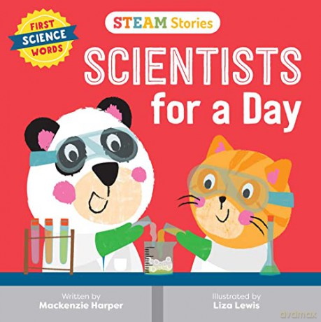 Steam Stories Scientists for a Day: First Science Words - MacKenzie Harper [KSIĄŻKA]