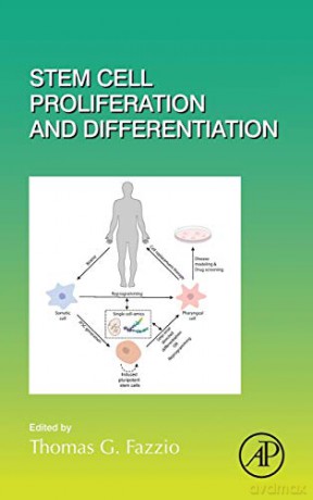 Stem Cell Proliferation and Differentiation (Volume 138) (Current Topics in Developmental Biology, Volume 138) - Thomas G. Fazzio [KSIĄŻKA]