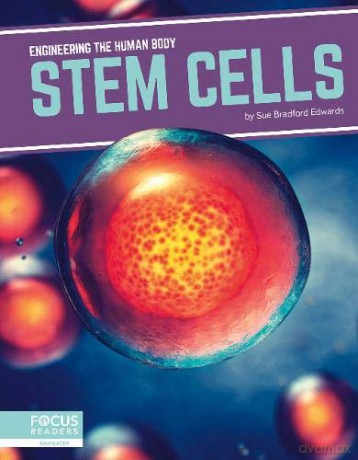 Stem Cells (Engineering the Human Body) - Sue Bradford Edwards [KSIĄŻKA]