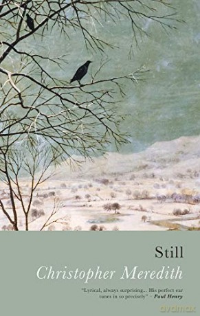 Still - Christopher Meredith [KSIĄŻKA]