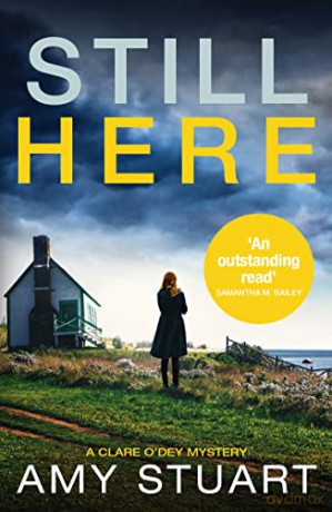 Still Here: An absolutely gripping private investigator crime novel: 3 (A Clare O'Dey Mystery) - Amy Stuart [KSIĄŻKA]