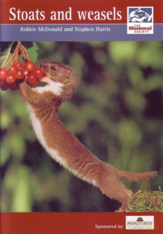 Stoats and Weasels (Mammal Society Species Series) - Robbie McDonald [KSIĄŻKA]