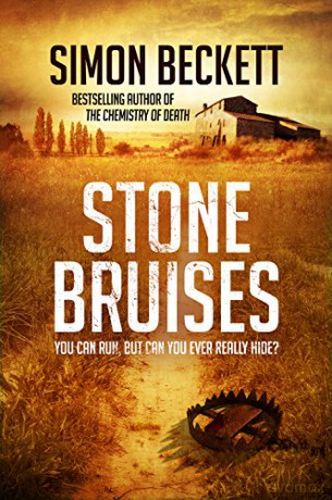 Stone Bruises - Simon Beckett [KSIĄŻKA]