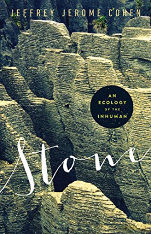 Stone: An Ecology of the Inhuman - Jeffrey Jerome Cohen [KSIĄŻKA]