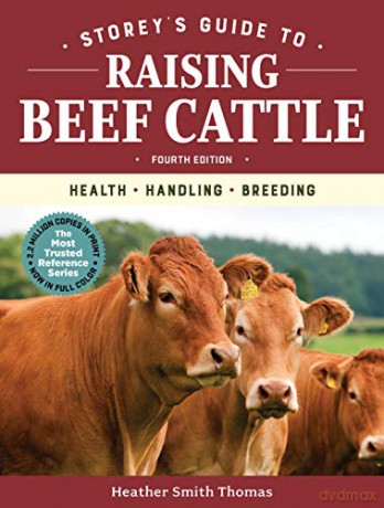 Storey's Guide to Raising Beef Cattle, 4th Edition: Health, Handling, Breeding - Smith, Heather Thomas [KSIĄŻKA]