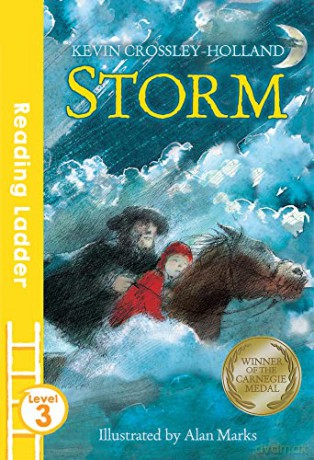 Storm (Reading Ladder Level 3) - Kevin Crossley-Holland [KSIĄŻKA]