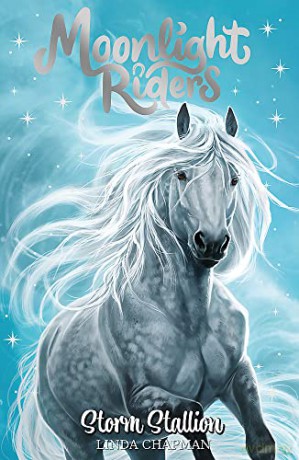 Storm Stallion: Book 2 (Moonlight Riders) - Linda Chapman [KSIĄŻKA]
