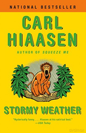 Stormy Weather - Carl Hiaasen [KSIĄŻKA]