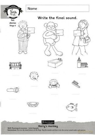 Storyworlds Yr1/P2 Stage 6, Animal World, Workbook (8 Pack) [KSIĄŻKA]