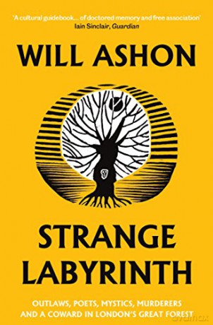 Strange Labyrinth: Outlaws, Poets, Mystics, Murderers and a Coward in London's Great Forest - Will Ashon [KSIĄŻKA]