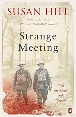 Strange Meeting - Susan Hill [KSIĄŻKA]