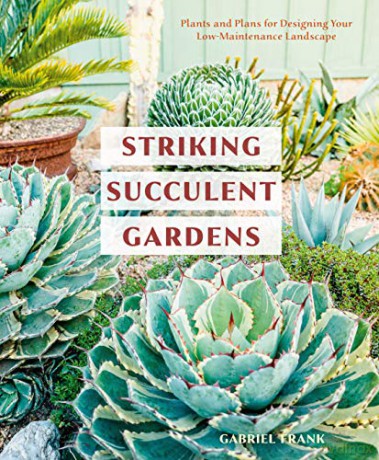 Striking Succulent Gardens: Plants and Plans for Designing Your Low-Maintenance Landscape: A Gardening Book - Gabriel Frank [KSIĄŻKA]