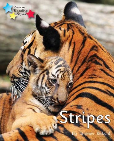 Stripes: Phonics Phase 1/Lilac (Reading Stars Phonics) [KSIĄŻKA]