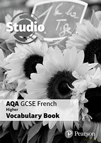 Studio AQA GCSE French Higher Vocab Book (pack of 8) - Angela Stanley [KSIĄŻKA]