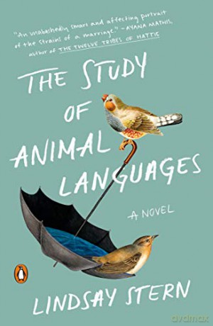 Study of Animal Languages: A Novel - Lindsay Stern [KSIĄŻKA]