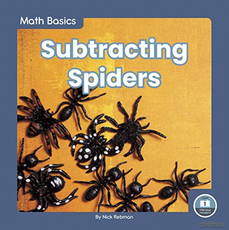 Subtracting Spiders (9781646191635) - Nick Rebman [KSIĄŻKA]