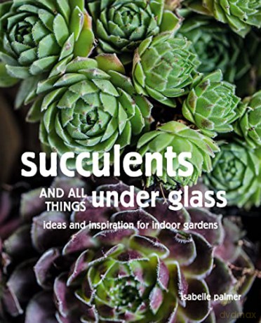 Succulents and All things Under Glass: Ideas and inspiration for indoor gardens - Isabelle Palmer [KSIĄŻKA]