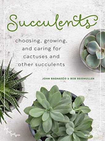Succulents: Choosing, Growing, and Caring for Cactuses and other Succulents - John Bagnasco [KSIĄŻKA]