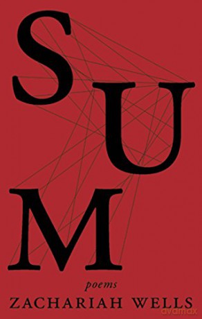 Sum - Zachariah Wells [KSIĄŻKA]