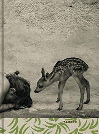 Summer of the Fawn - Alain Laboile [KSIĄŻKA]