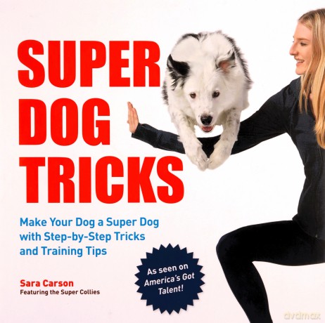 Super Dog Tricks: Make Your Dog a Super Dog with Step by Step Tricks and Training Tips - As Seen on America's Got Talent! - Sara Carson [KSIĄŻKA]