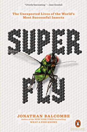 Super Fly: The Unexpected Lives of the World's Most Successful Insects - Jonathan Balcombe [KSIĄŻKA]