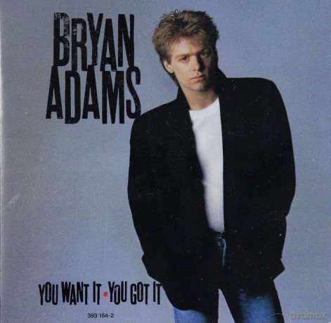 Bryan Adams: You Want It, You Got It [CD]