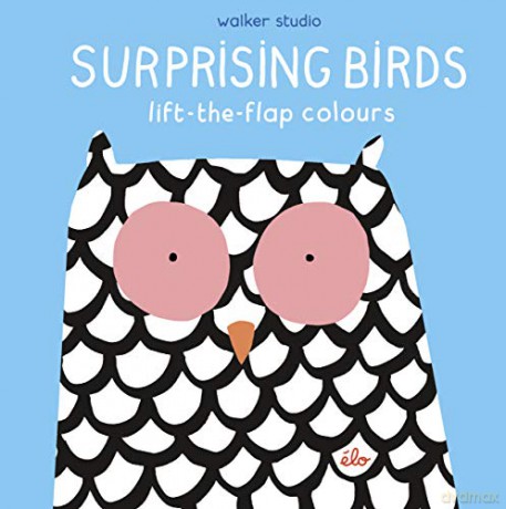 Surprising Birds: Lift-the-Flap Colours (Walker Studio) - élo [KSIĄŻKA]