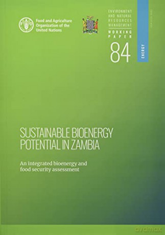 Sustainable Bioenergy Potential in Zambia: an integrated bioenergy food security assessment (Environment and natural resources management: working paper, 84) - Food and Agriculture Organization of the United Nations - FAO [KSIĄŻKA]
