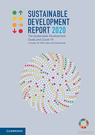 Sustainable Development Report 2020: The Sustainable Development Goals and Covid-19 Includes the SDG Index and Dashboards - Finn Woelm [KSIĄŻKA]