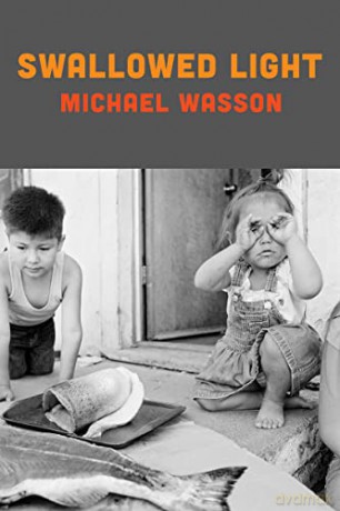 Swallowed Light - Michael Wasson [KSIĄŻKA]