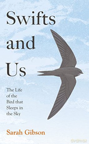Swifts and Us: The Life of the Bird that Sleeps in the Sky - Sarah Gibson [KSIĄŻKA]