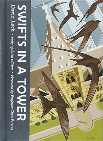 Swifts in a Tower - David Lack FRS [KSIĄŻKA]