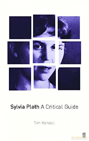 Sylvia Plath: A Critical Guide - Sylvia Plath [KSIĄŻKA]