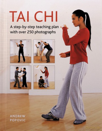 Tai Chi: A step-by-step teaching plan with 250 photographs - Andrew [KSIĄŻKA]