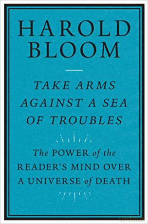 Take Arms Against a Sea of Troubles: The Power of the Reader's Mind over a Universe of Death: The Power of the Reader's Mind over a Universe of Death - Harold Bloom [KSIĄŻKA]