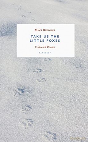 Take us the Little Foxes: Collected Poems - Miles Burrows [KSIĄŻKA]