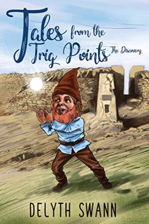 Tales from the Trig Points -- The Discovery - Delyth Swann [KSIĄŻKA]