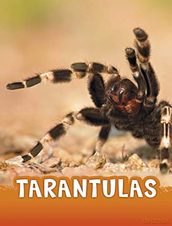 Tarantulas (Animals) - Jaclyn Jaycox [KSIĄŻKA]