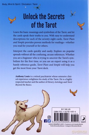 Tarot Plain and Simple - Anthony Louis [KSIĄŻKA]