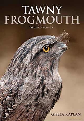 Tawny Frogmouth - Gisela Kaplan [KSIĄŻKA]
