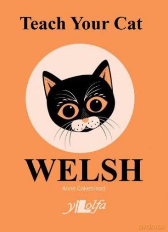 Teach Your Cat Welsh - Anne Cakebread [KSIĄŻKA]