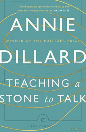 Teaching a Stone to Talk: Expeditions and Encounters (Canons) - Annie Dillard [KSIĄŻKA]